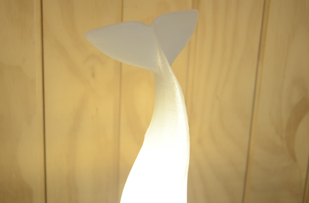 Andanova Diseño 3D en Pichilemu